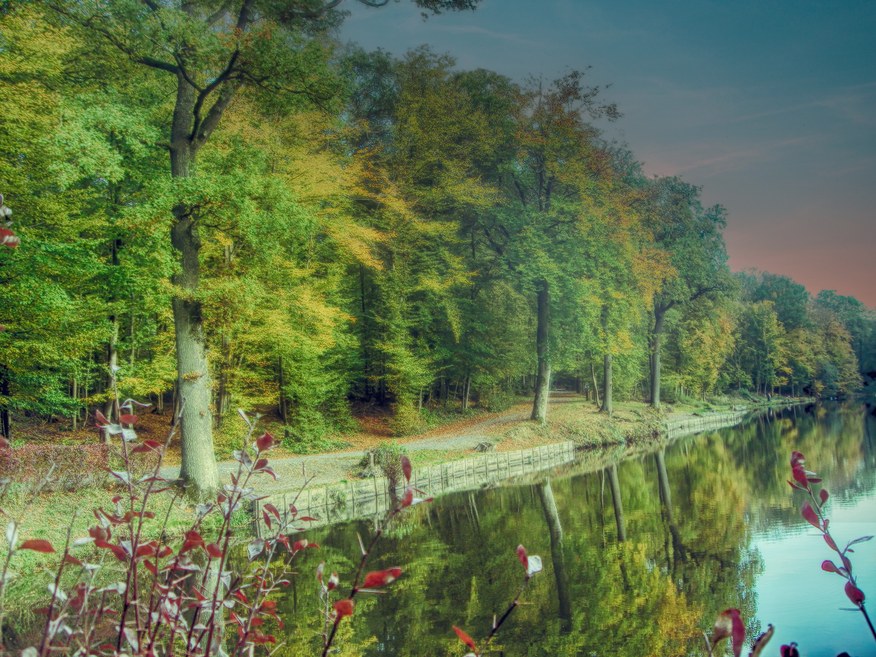Automne aux Étangs des Moines ጠ Reflets dorés à Fourmies, Nord